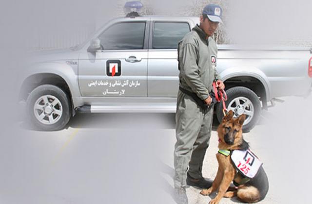 سازمان آتشنشانی لار به یک قلاده «سگِ زنده یاب» مجهز شد