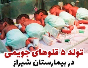 تولدِ ۵ قلوهای جویمی در بیمارستان شیراز